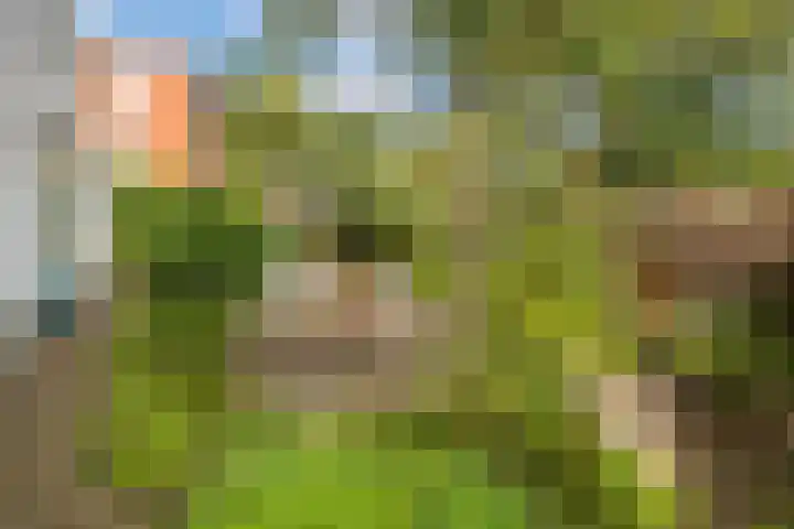 Nicolaasweg 111 Utrecht thumbnail 5