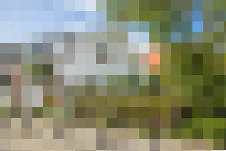 Nicolaasweg 111 Utrecht thumbnail 6