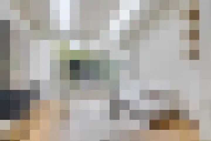 Nicolaasweg 125 Utrecht thumbnail 10