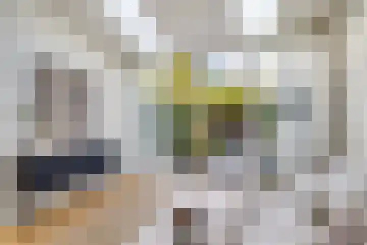 Nicolaasweg 125 Utrecht thumbnail 11