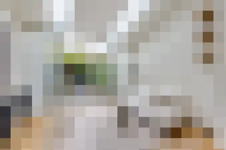 Nicolaasweg 125 Utrecht thumbnail 12