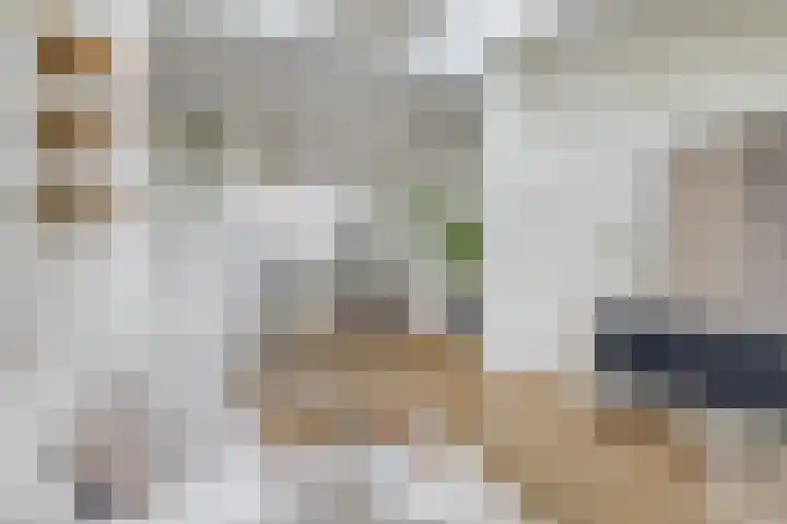 Nicolaasweg 125 Utrecht thumbnail 14
