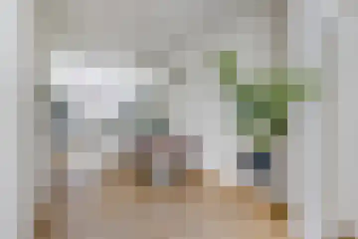 Nicolaasweg 125 Utrecht thumbnail 15