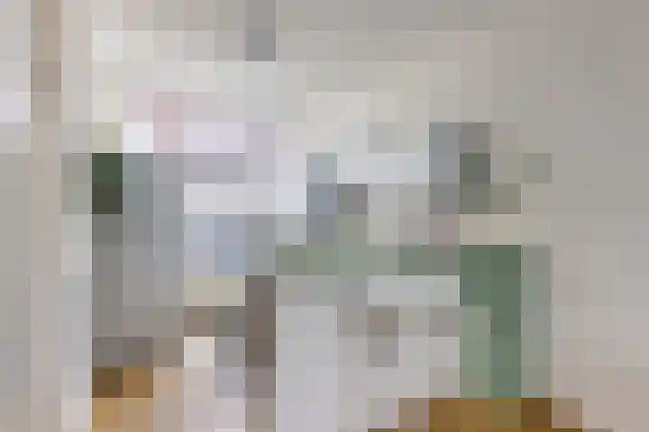 Nicolaasweg 125 Utrecht thumbnail 17