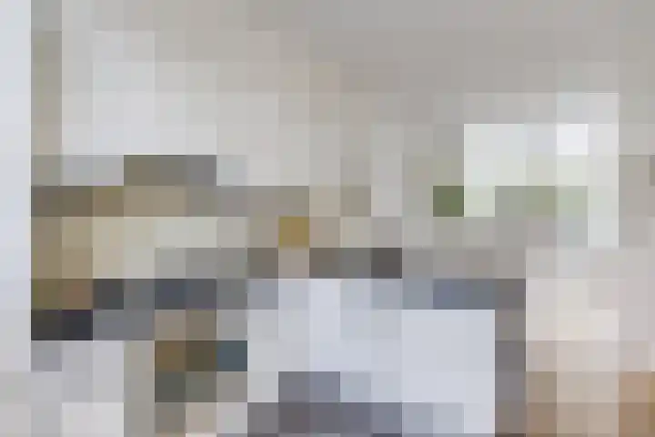 Nicolaasweg 125 Utrecht thumbnail 19