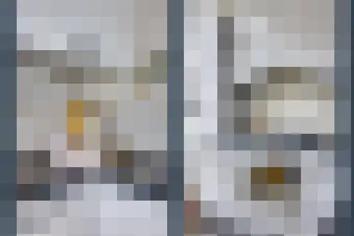Nicolaasweg 125 Utrecht thumbnail 20