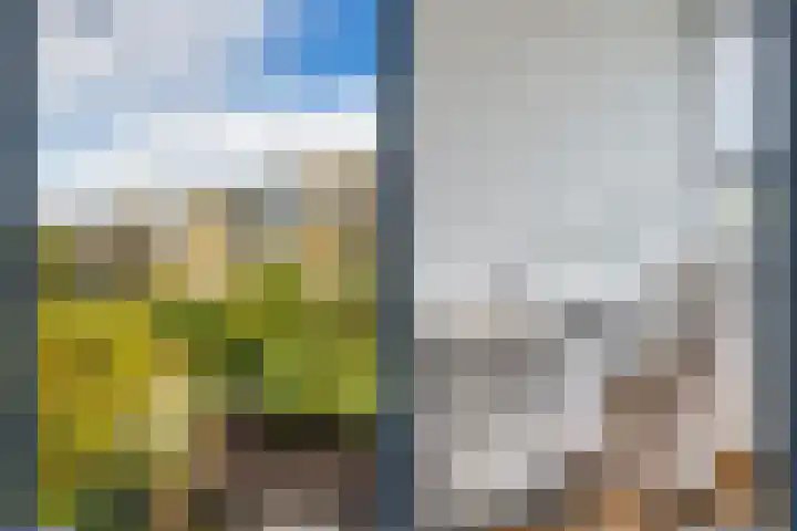 Nicolaasweg 125 Utrecht thumbnail 23