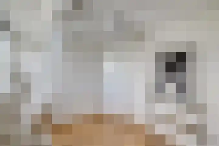 Nicolaasweg 125 Utrecht thumbnail 24