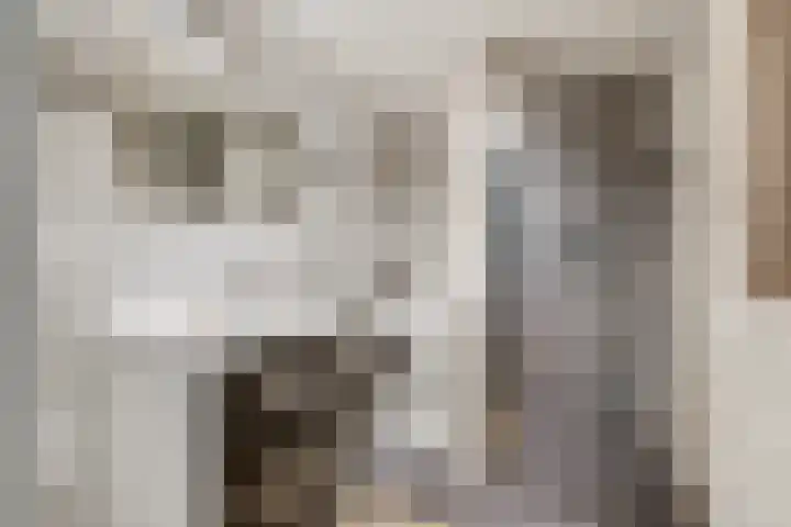 Nicolaasweg 125 Utrecht thumbnail 25