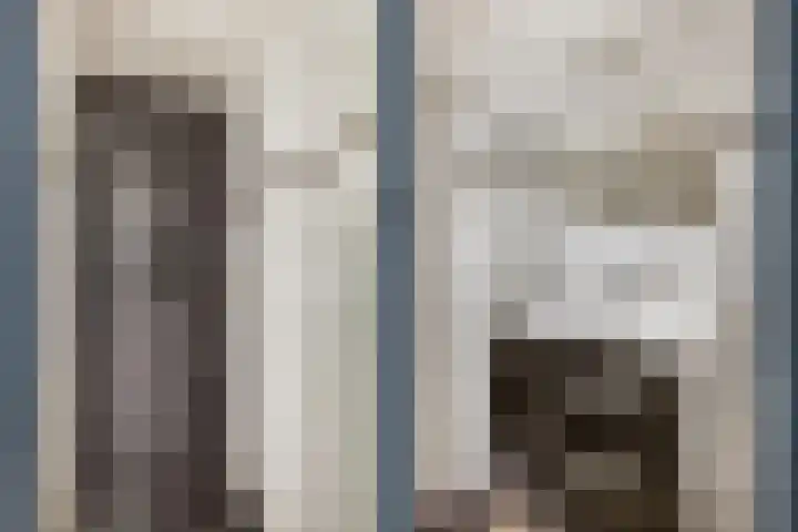 Nicolaasweg 125 Utrecht thumbnail 26