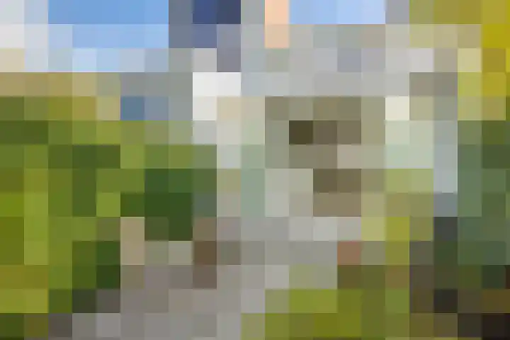 Nicolaasweg 125 Utrecht thumbnail 30