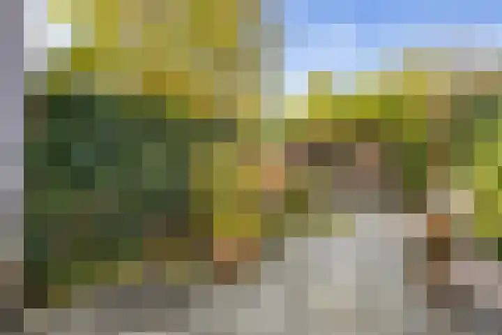 Nicolaasweg 125 Utrecht thumbnail 31