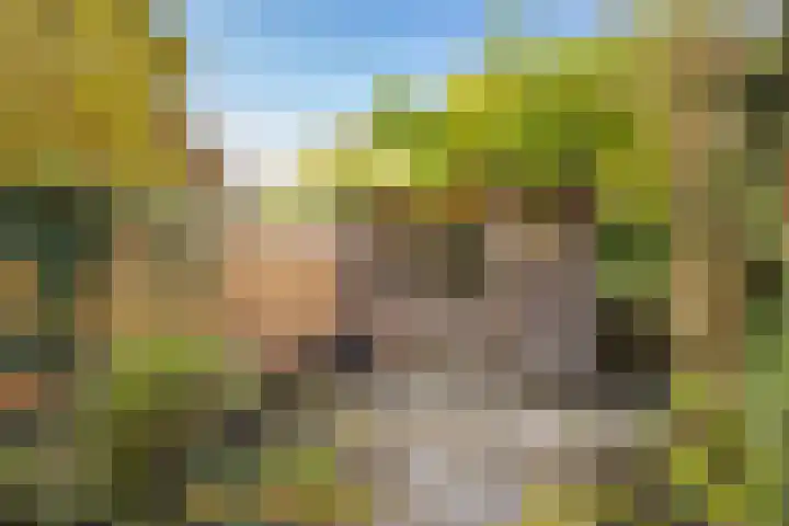 Nicolaasweg 125 Utrecht thumbnail 32