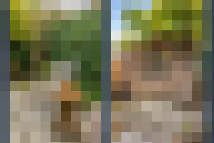 Nicolaasweg 125 Utrecht thumbnail 33