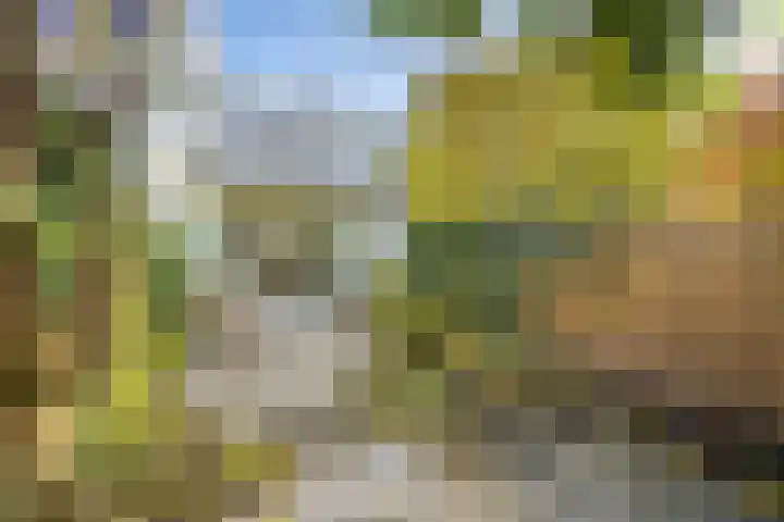 Nicolaasweg 125 Utrecht thumbnail 4