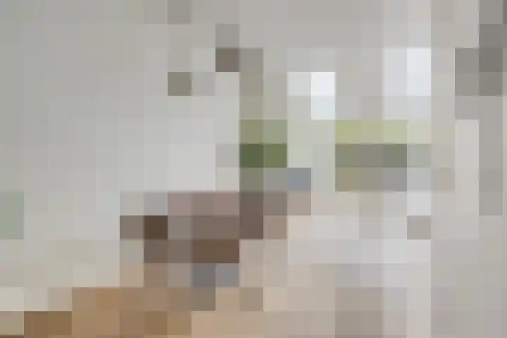Nicolaasweg 125 Utrecht thumbnail 9