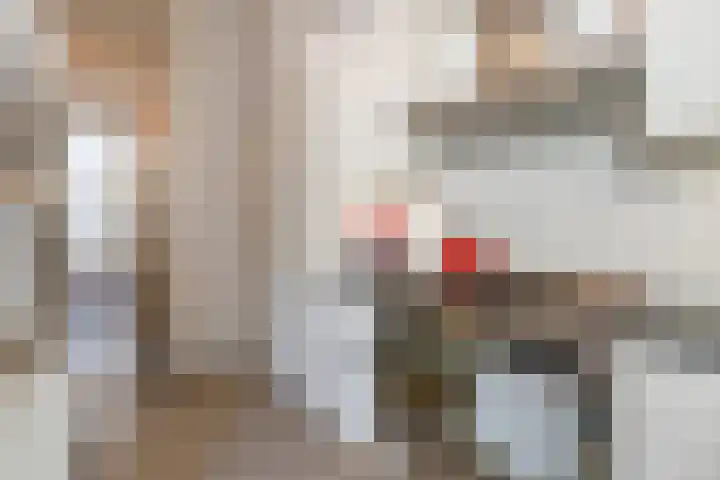 Nicolaasweg 136 Utrecht thumbnail 17