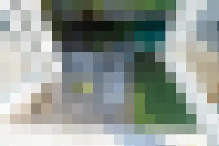 Nicolaasweg 136 Utrecht thumbnail 24