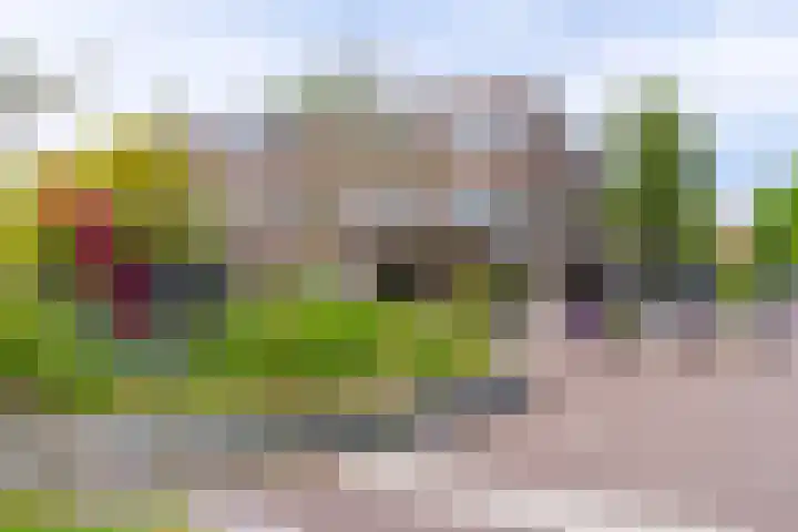 Nicolaasweg 136 Utrecht thumbnail 32