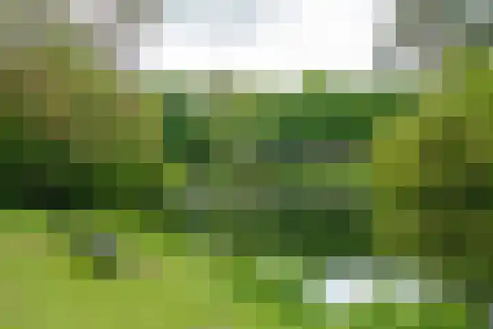 Nicolaasweg 136 Utrecht thumbnail 35