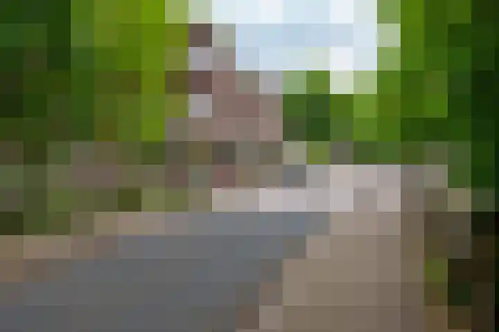 Nicolaasweg 136 Utrecht thumbnail 36