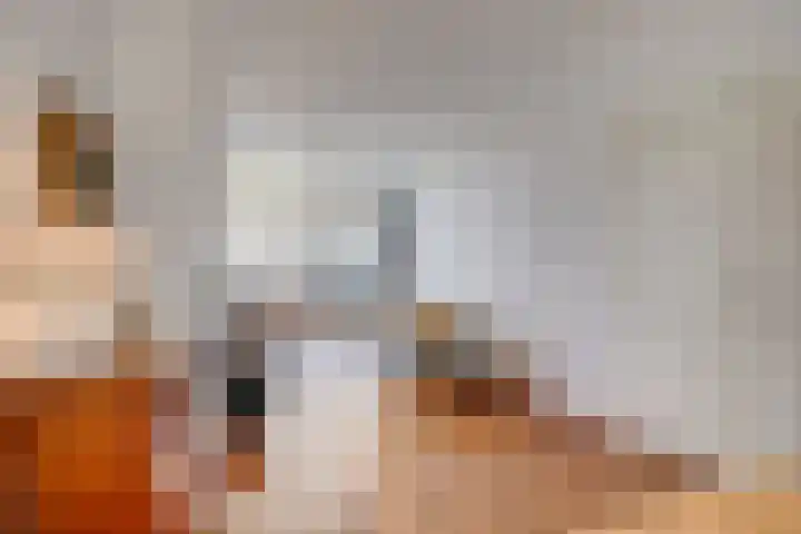Nicolaasweg 136 Utrecht thumbnail 8