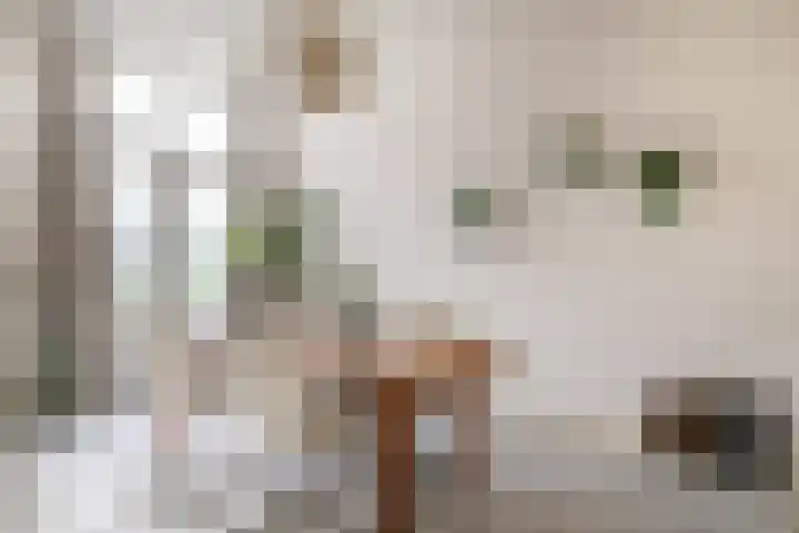 Nicolaasweg 140 BS Utrecht thumbnail 10