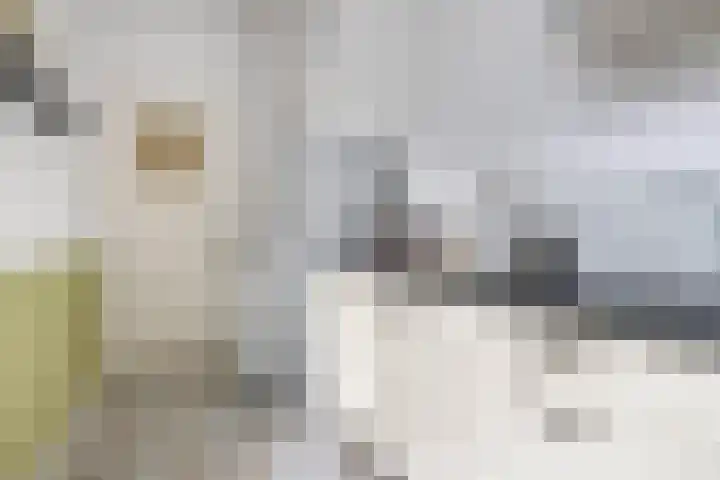 Nicolaasweg 140 BS Utrecht thumbnail 25