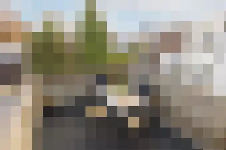 Nicolaasweg 140 BS Utrecht thumbnail 36
