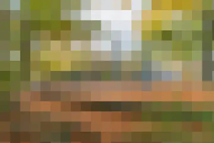Nicolaasweg 140 BS Utrecht thumbnail 45