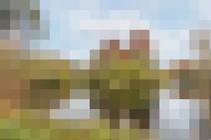 Nicolaasweg 140 BS Utrecht thumbnail 46