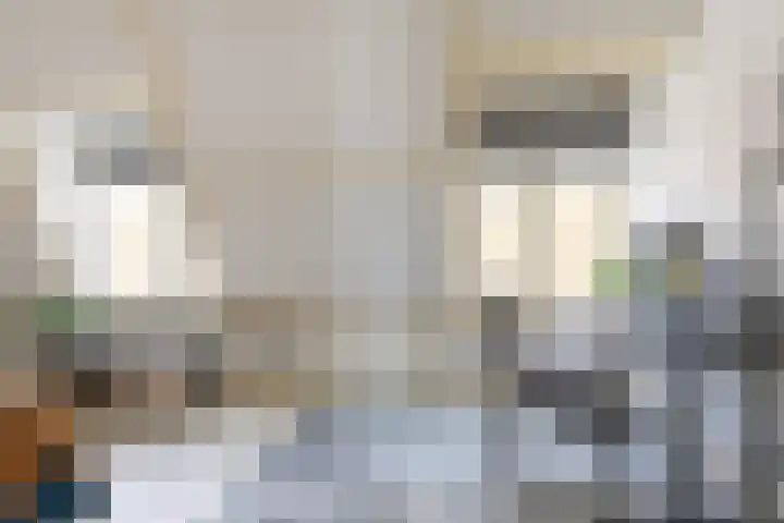 Nicolaasweg 140 BS Utrecht thumbnail 5