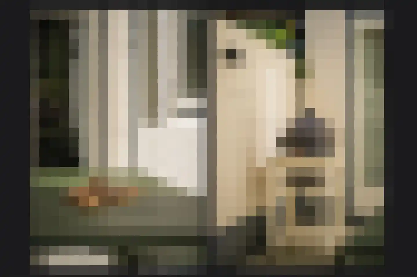 Nicolaasweg 140 Utrecht thumbnail 17