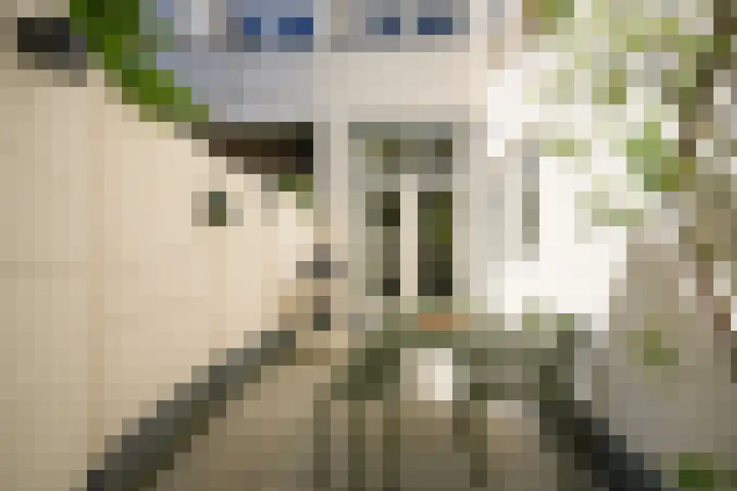 Nicolaasweg 140 Utrecht thumbnail 18