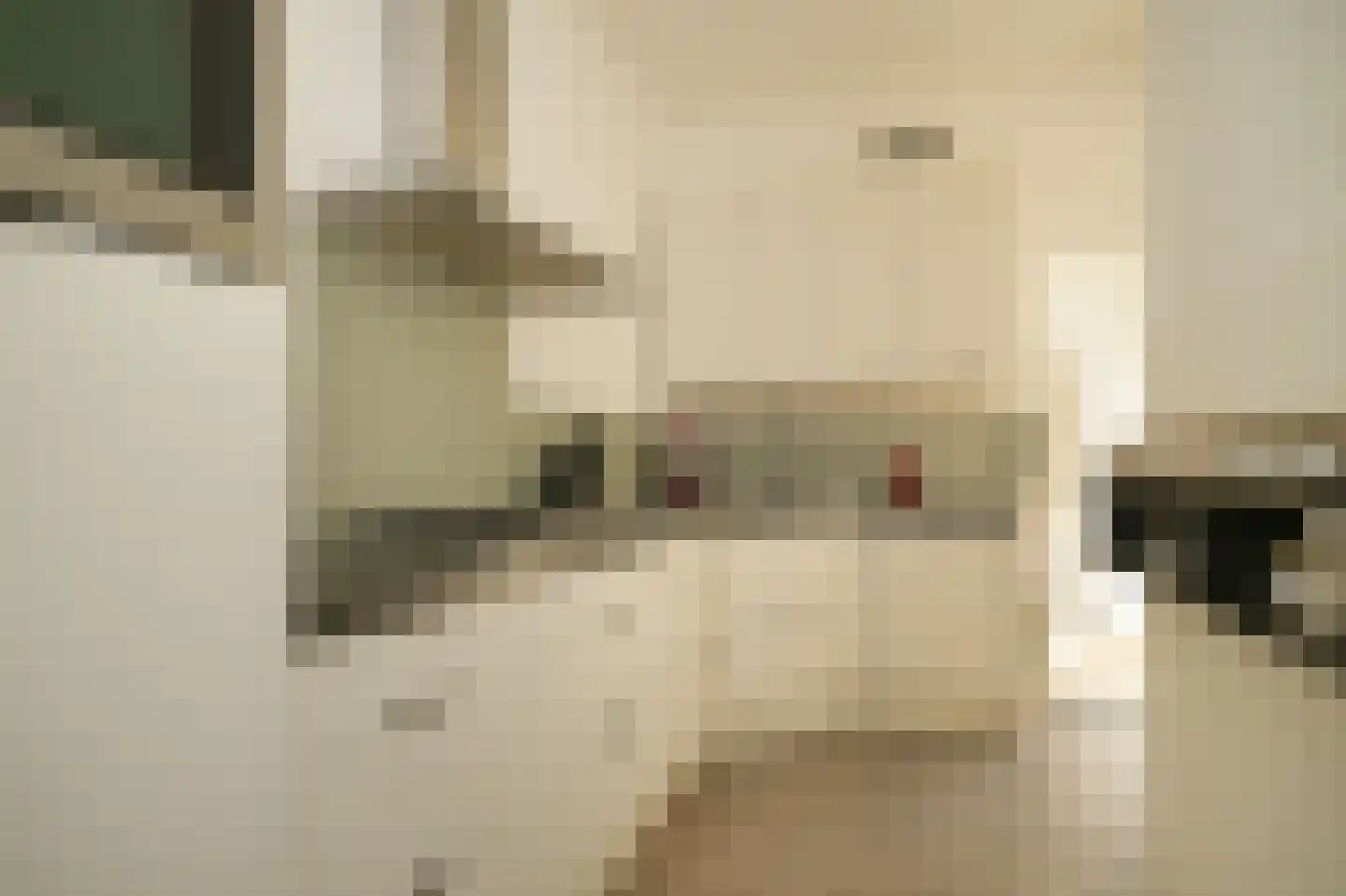 Nicolaasweg 140 Utrecht thumbnail 25