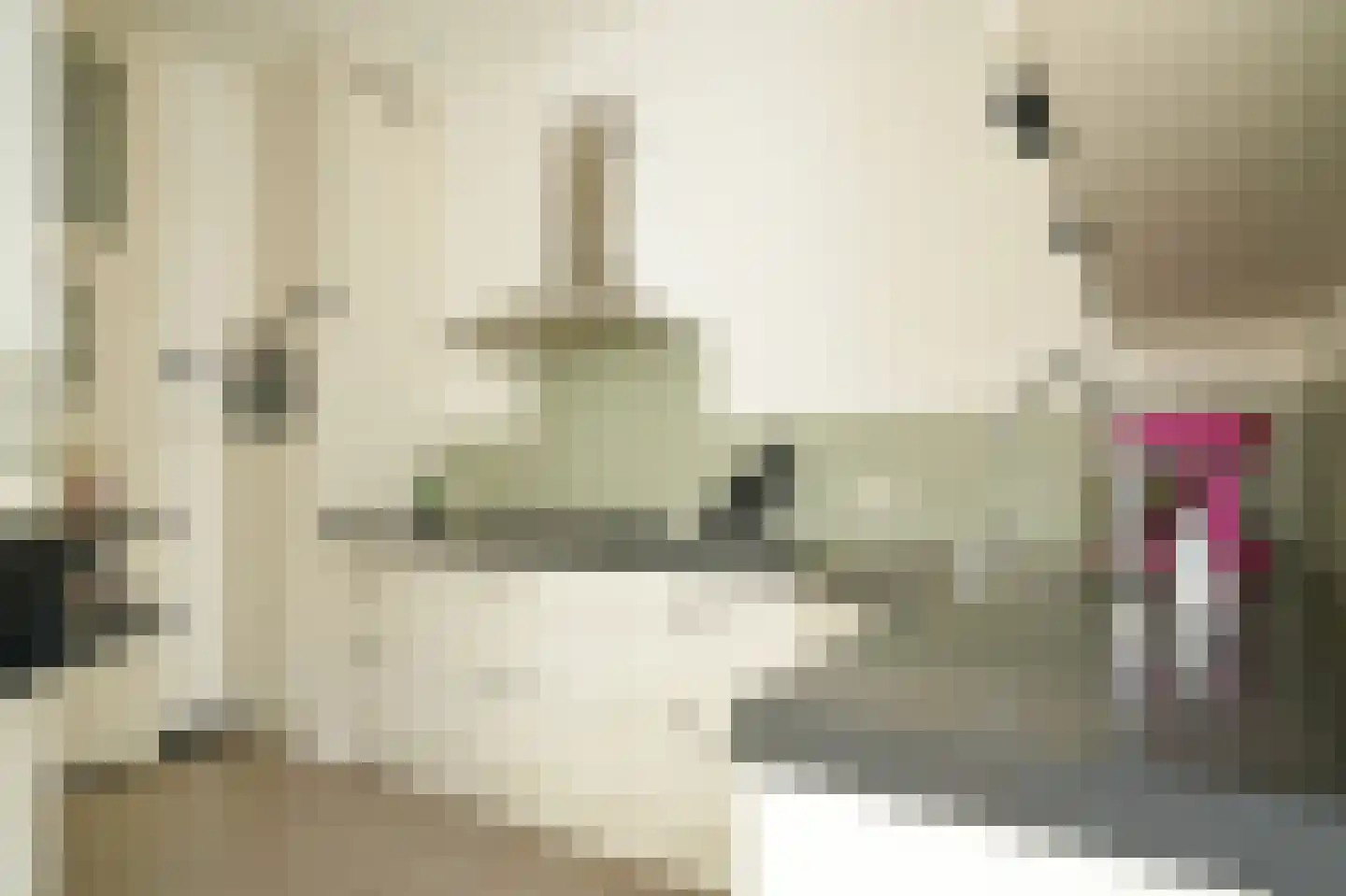Nicolaasweg 140 Utrecht thumbnail 26