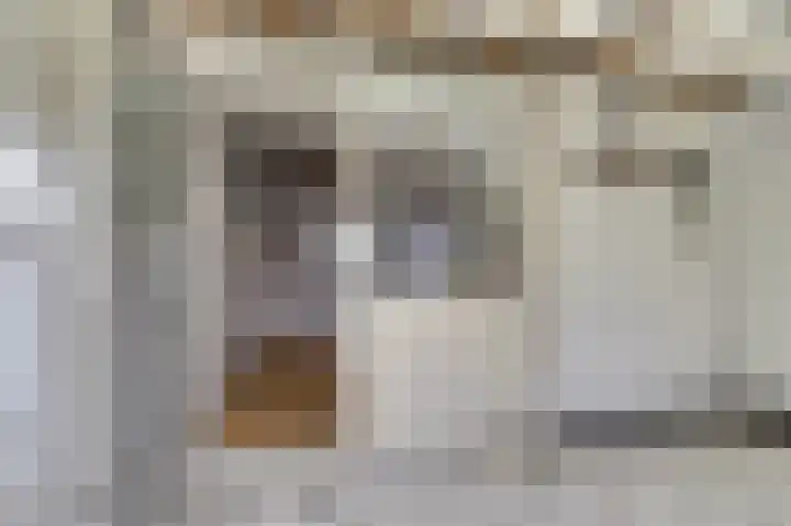 Nicolaasweg 145 Utrecht thumbnail 9
