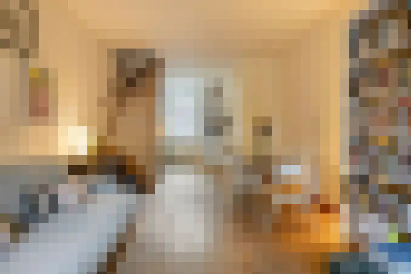 Nicolaasweg 153 Utrecht thumbnail 16