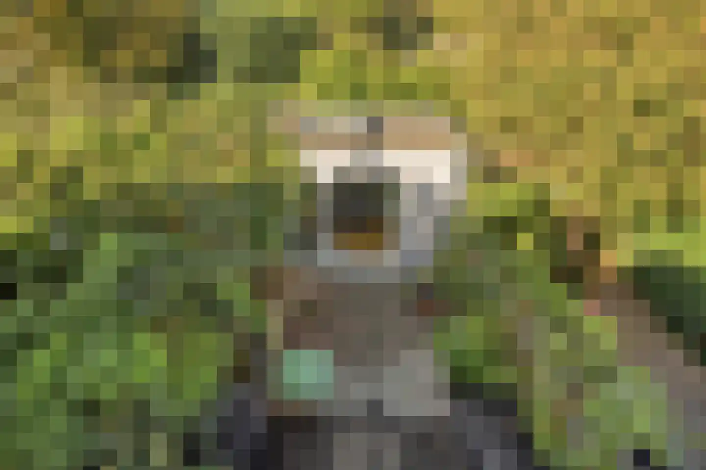 Nicolaasweg 153 Utrecht thumbnail 35