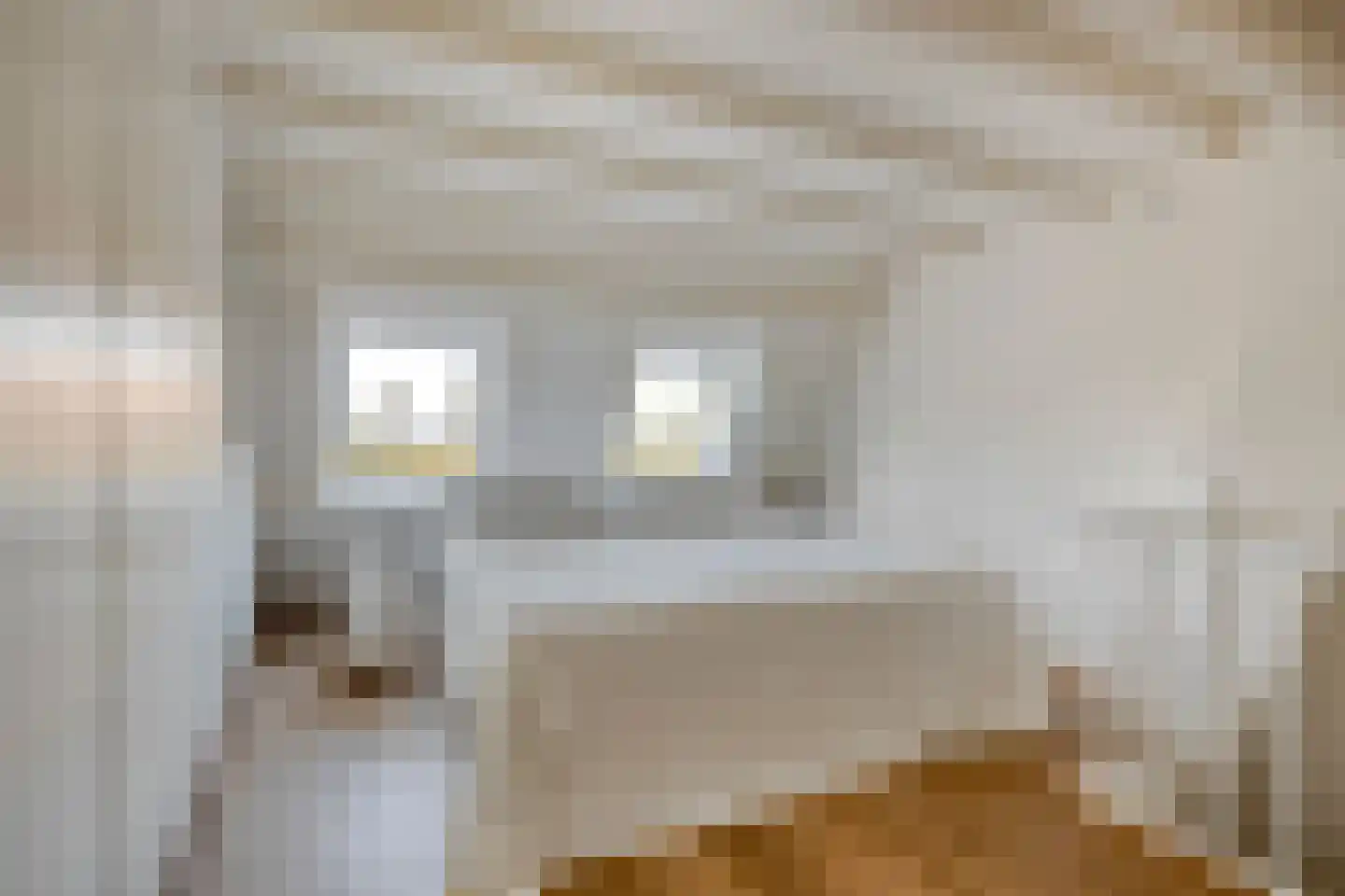 Nicolaasweg 153 Utrecht thumbnail 43
