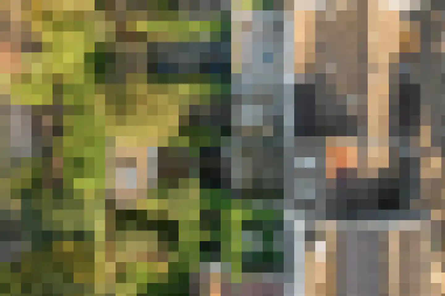 Nicolaasweg 153 Utrecht thumbnail 46