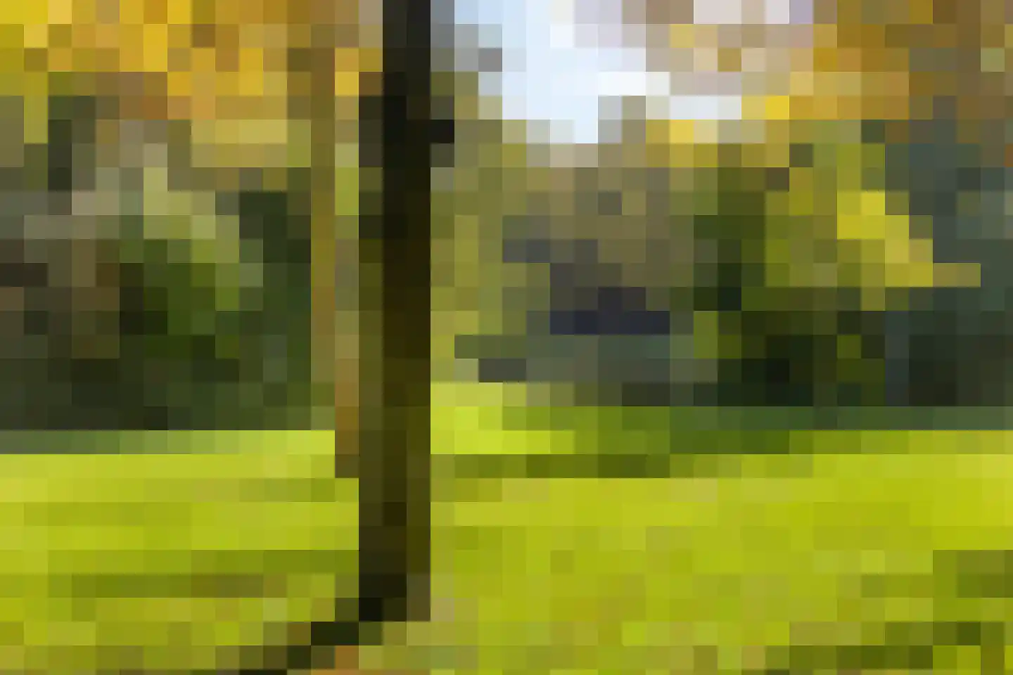 Nicolaasweg 153 Utrecht thumbnail 51