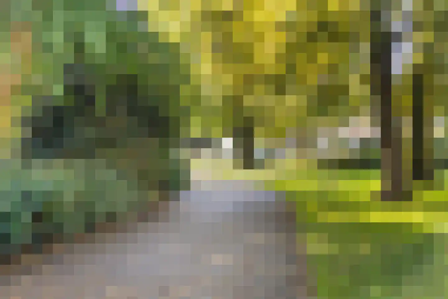 Nicolaasweg 153 Utrecht thumbnail 52