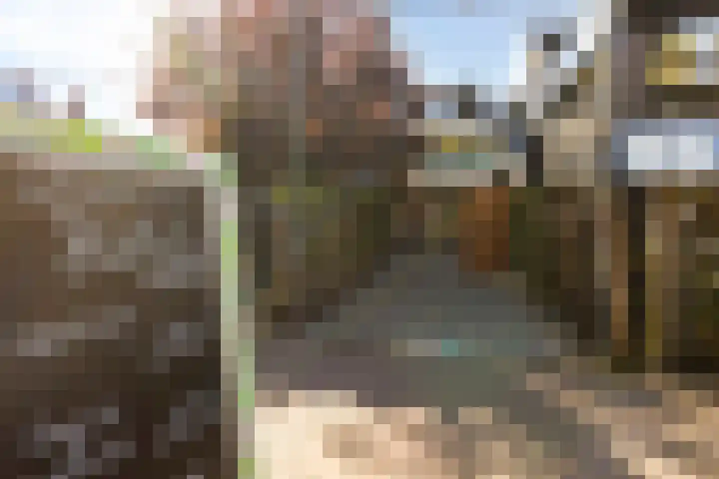 Nicolaasweg 153 Utrecht thumbnail 53