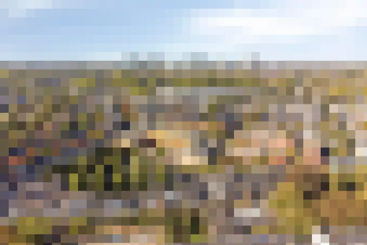 Nicolaasweg 153 Utrecht thumbnail 55