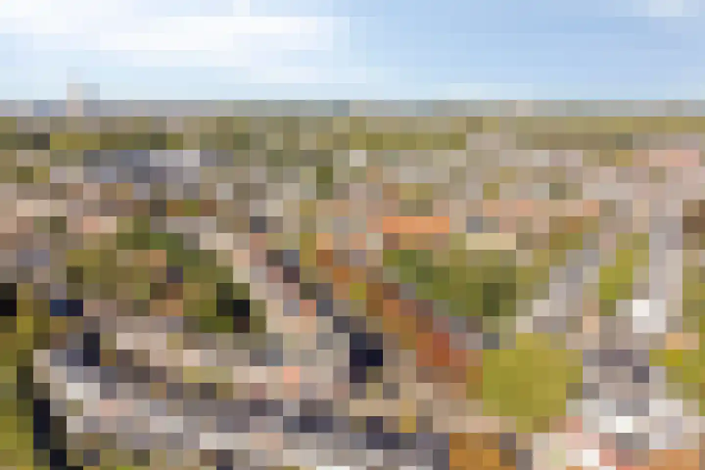 Nicolaasweg 153 Utrecht thumbnail 58