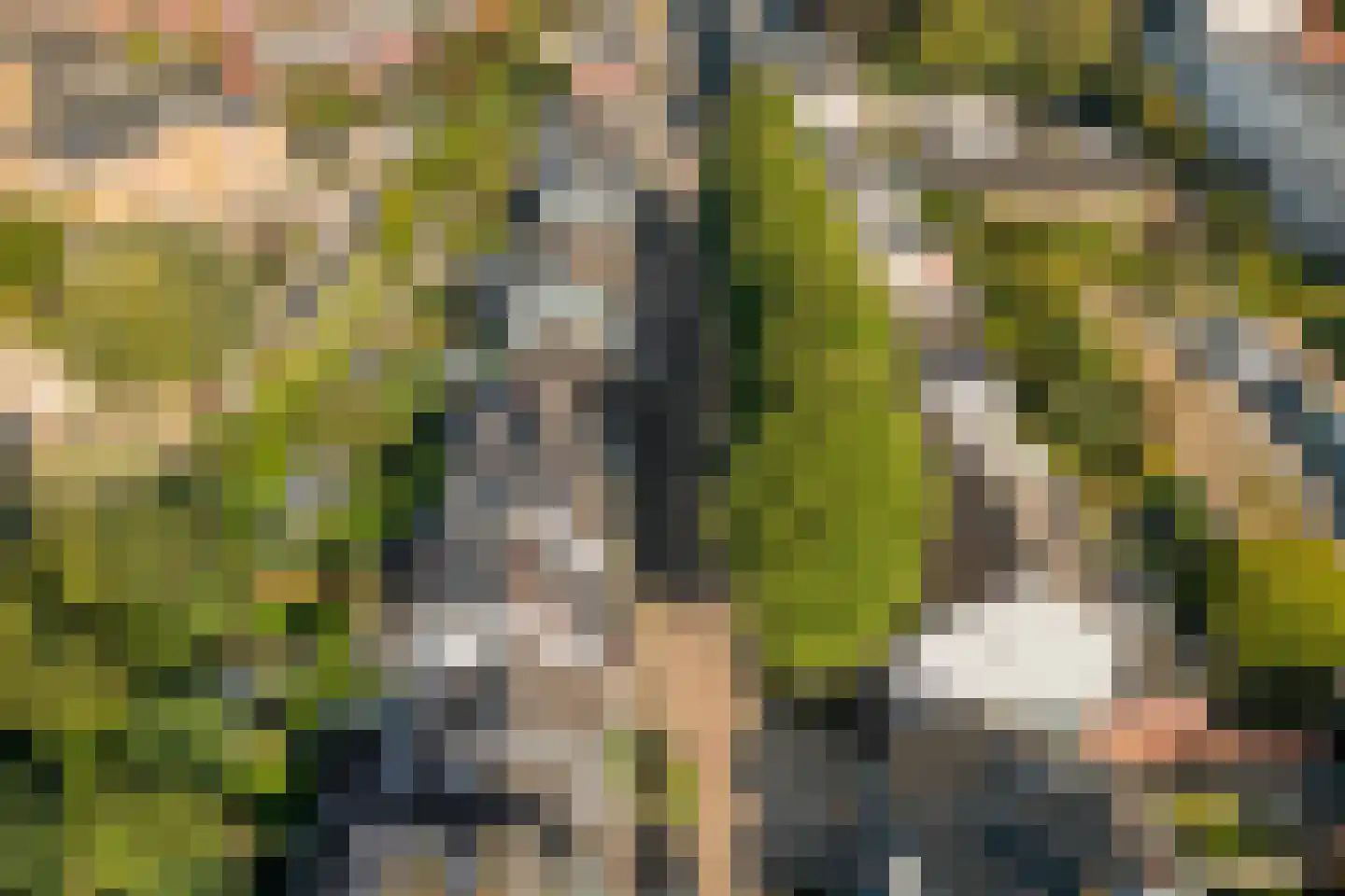Nicolaasweg 153 Utrecht thumbnail 59