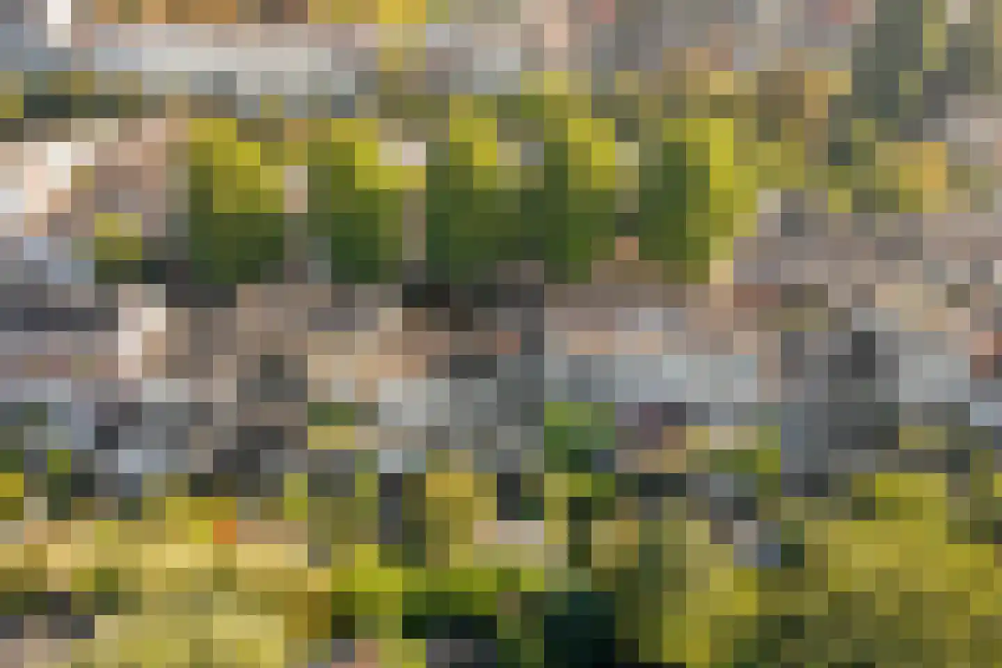 Nicolaasweg 153 Utrecht thumbnail 60