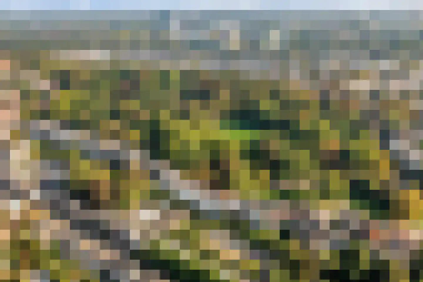 Nicolaasweg 153 Utrecht thumbnail 61