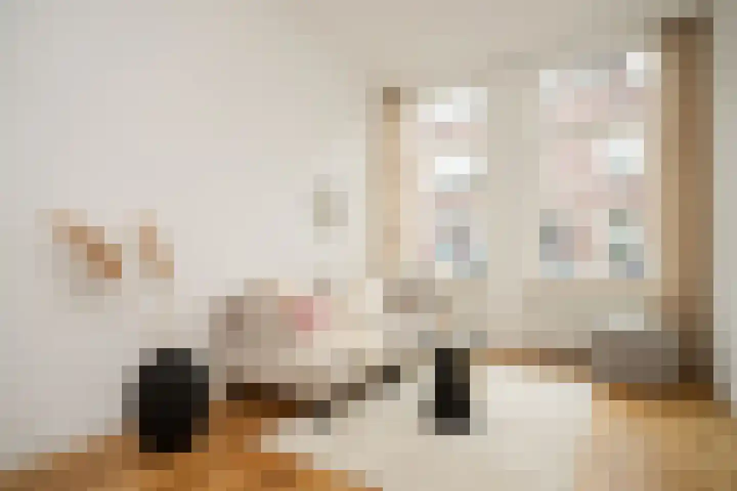 Nicolaasweg 23 Utrecht thumbnail 10